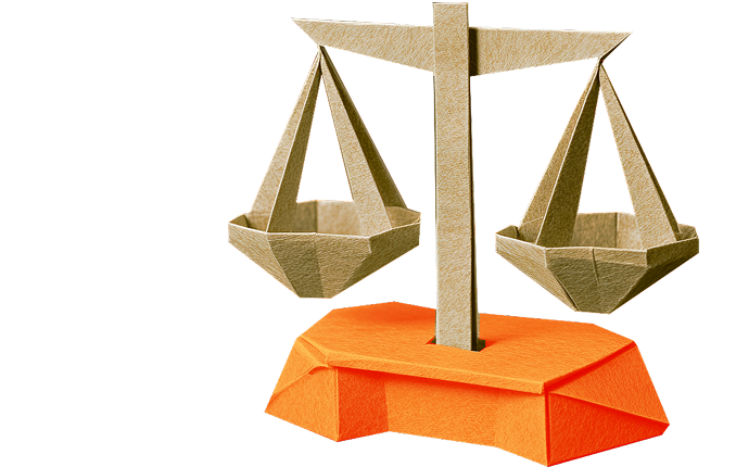 IP Audits And Due Diligence Law Firm in Delhi, India